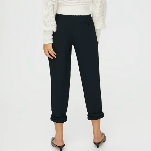 Aritzia Wilfred Allant Pant - Picture 2 of 5